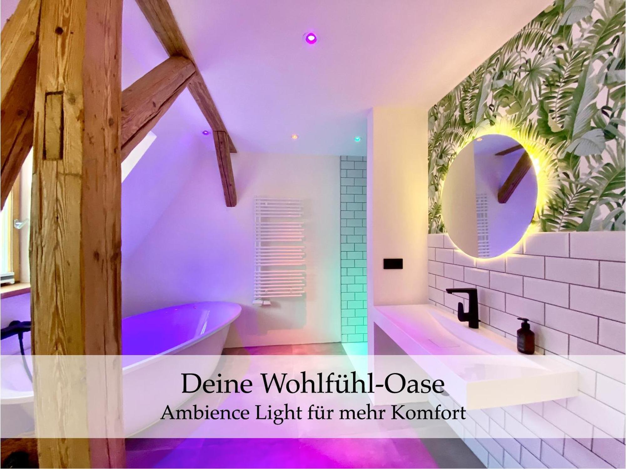 Zentrale 1-Zimmer-Ferienwohnung Mit Digitalem Check In Hof  Dış mekan fotoğraf